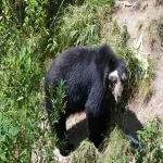 Foto 1 AMARU Bioparque Cuenca Zoologico