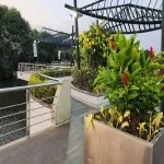 Foto 5 Plaza Guayarte